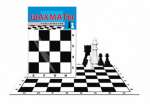 Шахматы  с доской (европодвес) РЫЖИЙ КОТ   /ИН-0160*89832