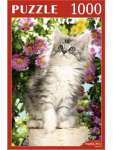 Пазлы 1000 эл. Рыжий кот "Любопытный котенок"   /КБ1000-7881*37836