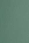 Ватман  тонированный А1 ГОЗНАК, 200 г/м, зеленый(салатовый)   /КЦ А1 зел*47277