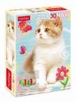 Пазлы 30 эл. 290*210 ХАТБЕР Макси Пушистый котик   /30П34*67155