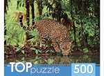 Пазлы 500 эл.Рыжий кот TOPpuzzle "Ягуар на водопое"   /КБТП500-6801*40238