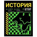Тетрадь 48л. Академия Холдинг "Терраццо. Литература"   /15606*75556