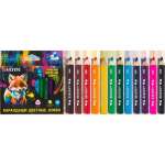 Карандаши цветные 12 цв. deVENTE  4М "Triolino Ultra 4М.KIDS" 4М трехрг. утолщ.корпус, к/к   /5022428*20938