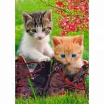 Пазлы 60 эл. 340*240 Рыжий кот Девочка с капибарой   /ПУ20-8257*64298