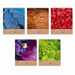 Тетрадь 96л. А5 SVETOCH выб.лак.,твин.лак кл. асс.   /96ТЕТк_003_,01534*70013