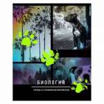 Тетрадь 48л. SVETOCH "Золотые главы. Алгебра" фольга   /01847*68460