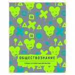 Тетрадь 48л. SVETOCH "Золотые главы. Химия" фольга   /01854*83812