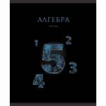 Тетрадь 48л. SVETOCH "Кристалл тайного. Обществознание"   /01832*27174