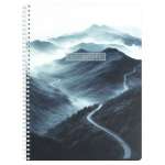 Тетрадь 96л. А4 Феникс спираль,кл. асс.   /72639-41*30065