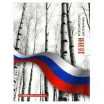Дневник  Феникс интегр.обл. 1-11 кл. выб.лак   /60201,66824-26,69747.73076-78*56274