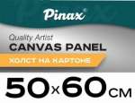 Холст на картоне 50*60 см Pinax 280гр 100% хлопок   /10.5060,ХКХ5060*61277